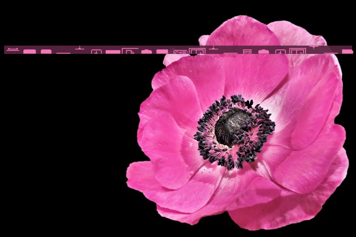 LisaProject Paper Raw Example 2