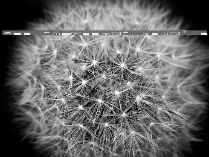 LisaProject Paper Raw Example 3