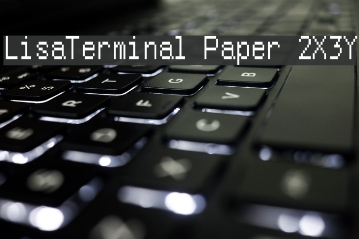 LisaTerminal Paper 2X3Y Example 2