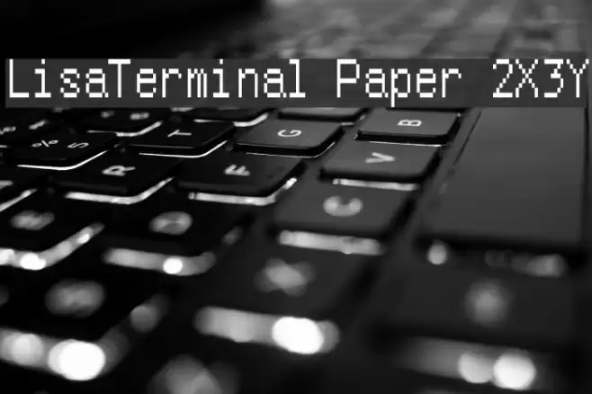 LisaTerminal Paper 2X3Y Font examples