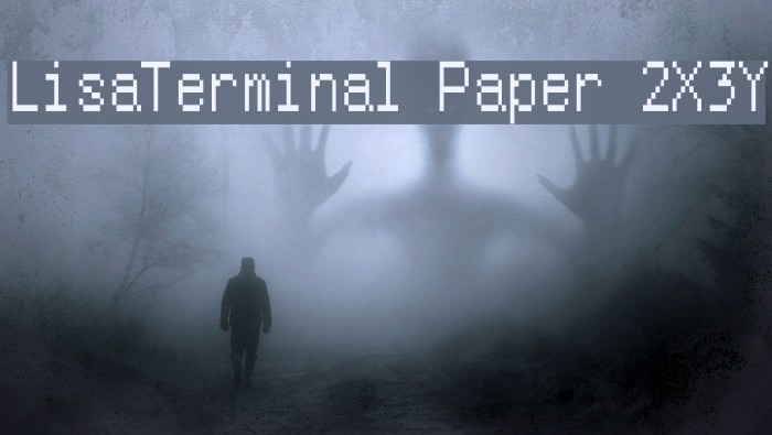LisaTerminal Paper 2X3Y Example 3