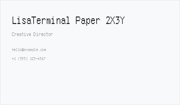 LisaTerminal Paper 2X3Y Business Card