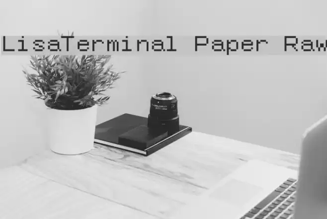 LisaTerminal Paper Raw Example 2