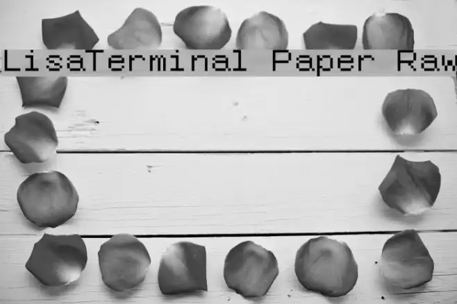 LisaTerminal Paper Raw Example 3