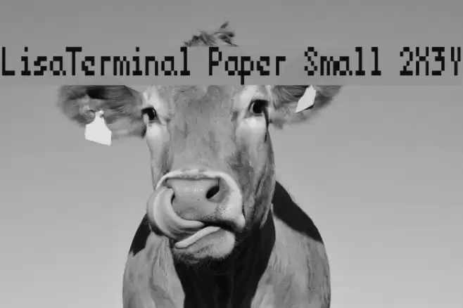 LisaTerminal Paper Small 2X3Y Font examples