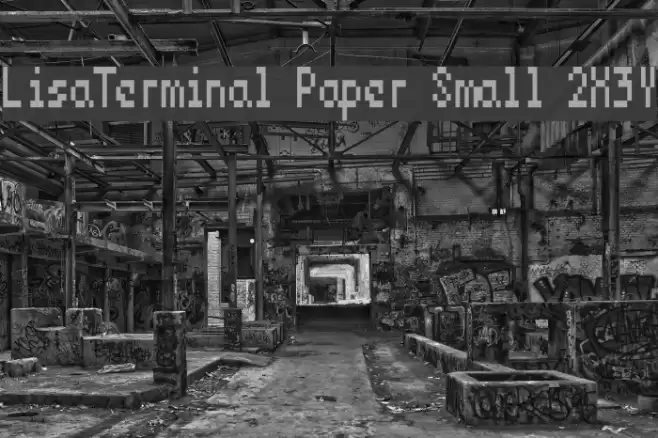 LisaTerminal Paper Small 2X3Y Font examples