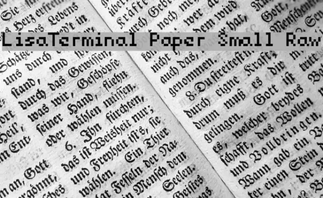 LisaTerminal Paper Small Raw Example 2