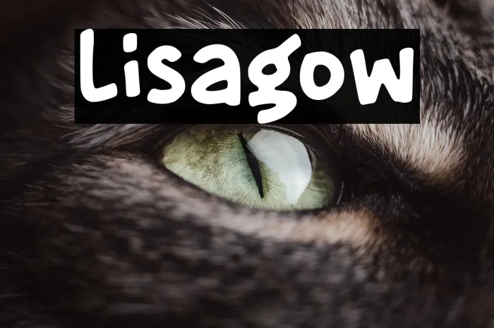 Lisagow Example 2