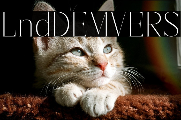 Lisandra DEMO VERSION Example 2