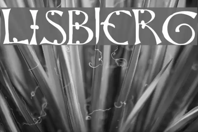 Lisbjerg Font examples