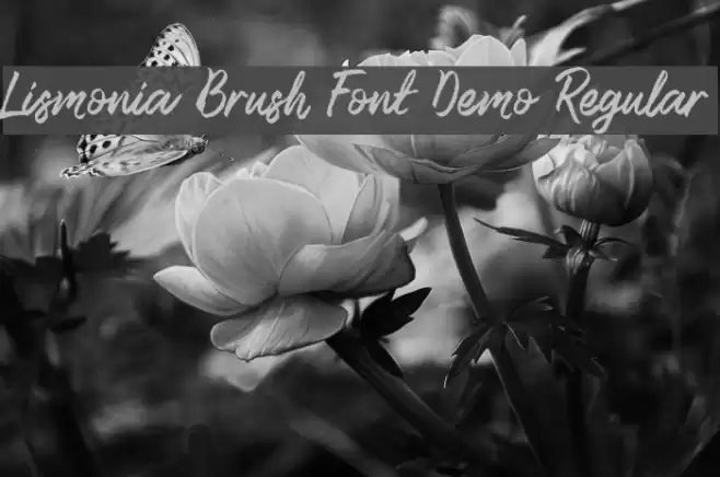 Lismonia Brush Font Demo Regular Font examples