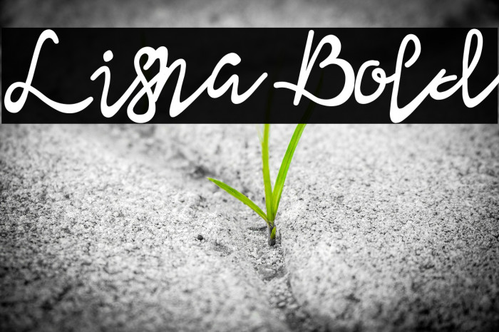 Lisna Bold Example 1