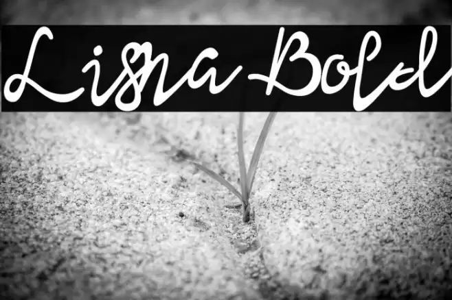 Lisna Bold Font examples