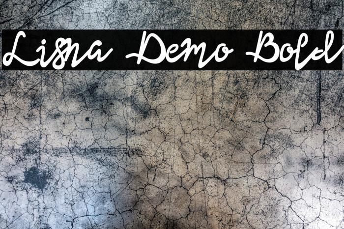 Lisna Demo Bold Example 1
