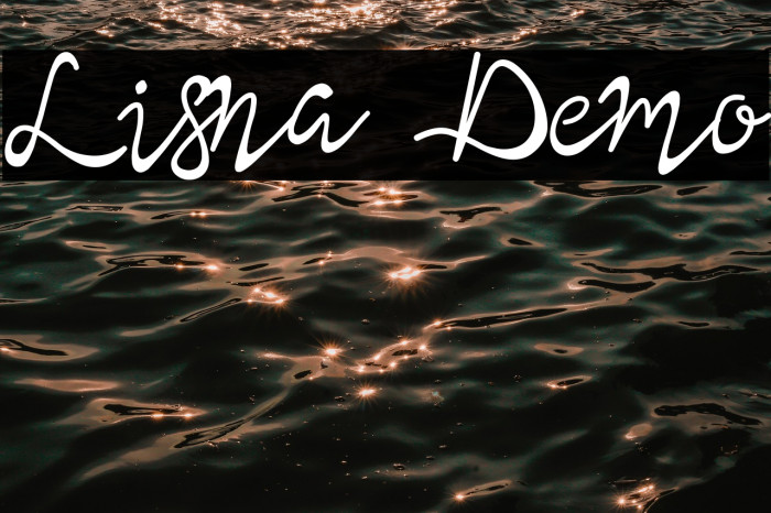 Lisna Demo Example 1