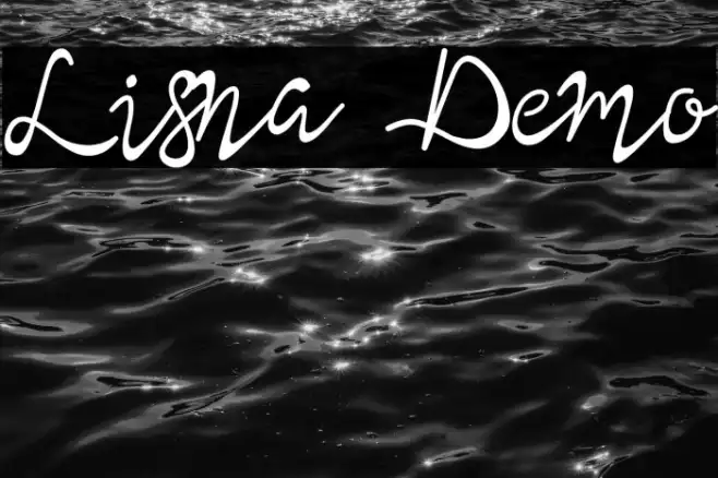 Lisna Demo Example 1