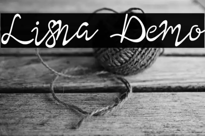 Lisna Demo Example 2
