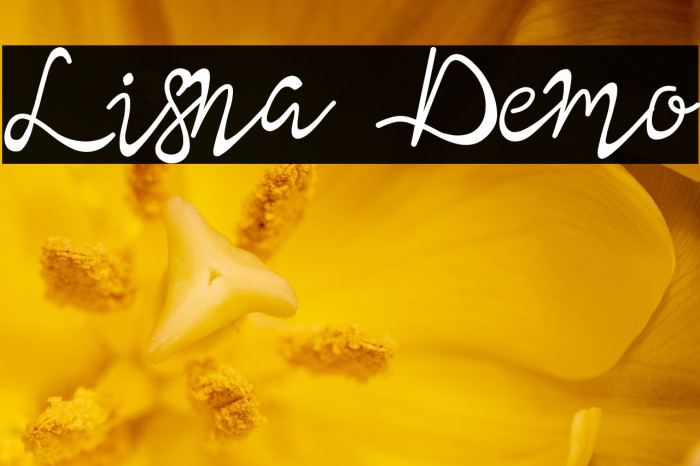 Lisna Demo Example 3