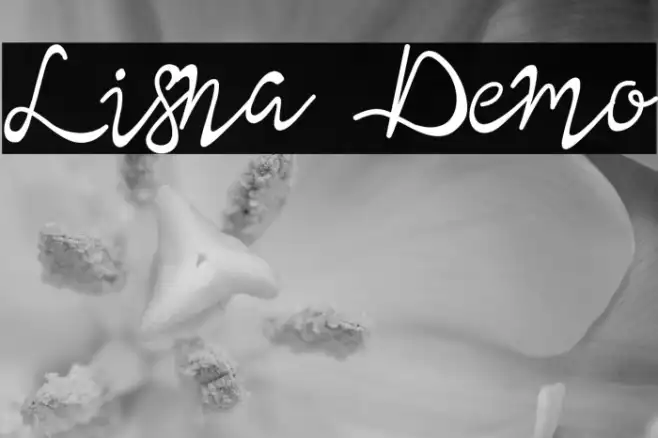 Lisna Demo Example 3