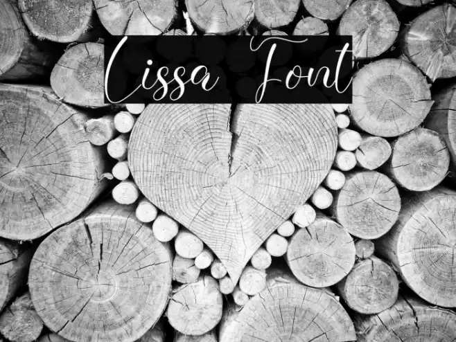Lissa Font examples