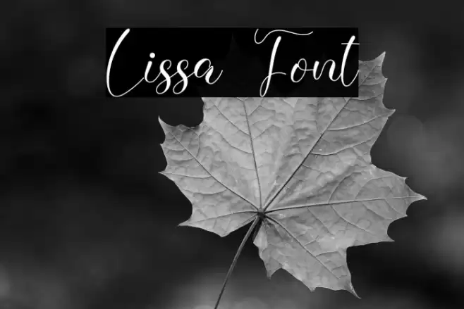 Lissa Font examples