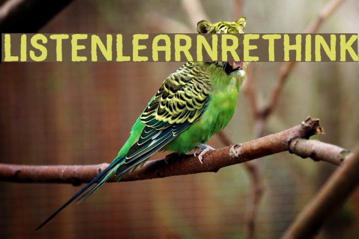ListenLearnRethink Font examples
