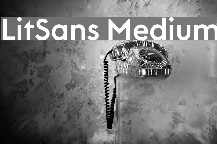 LitSans Medium Font examples