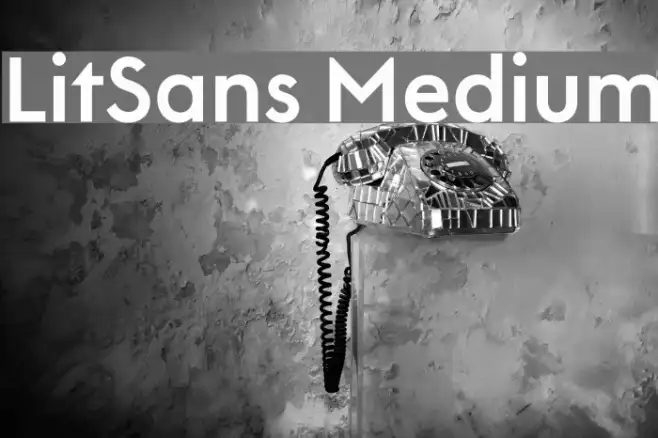 LitSans Medium Example 1