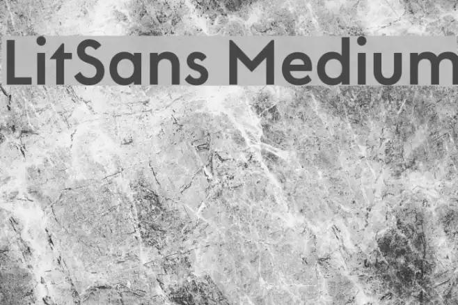 LitSans Medium Example 2