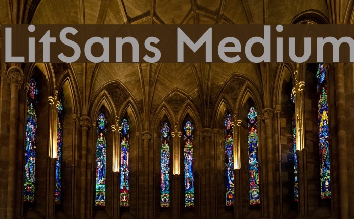 LitSans Medium Font examples