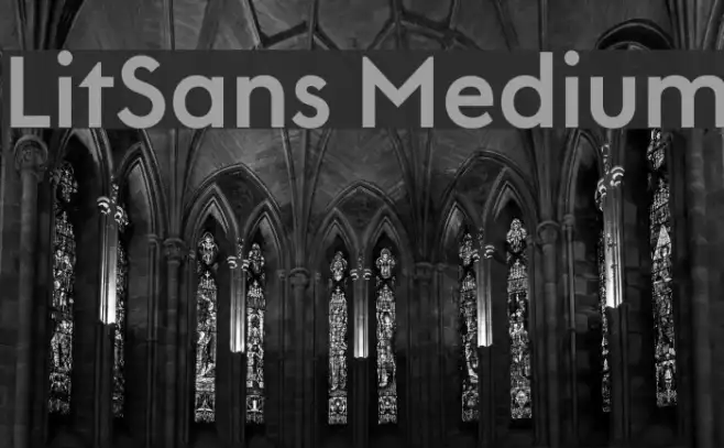 LitSans Medium Example 3