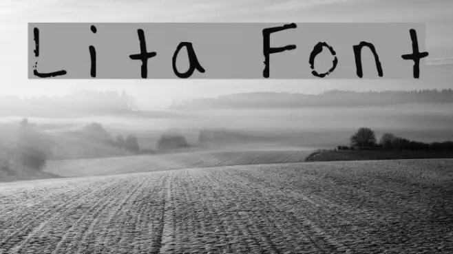 Lita Example 2