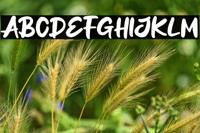 Litchi Days Example 3