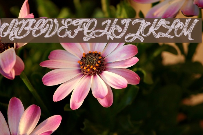 Litchis Island_PersonalUseOnly Font examples