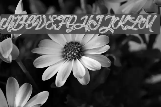 Litchis Island_PersonalUseOnly Шрифта examples