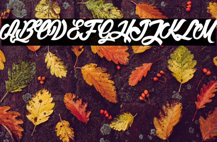 Litchis on Velvet 2_PersonalUseOnly Example 2