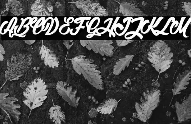 Litchis on Velvet 2_PersonalUseOnly Font examples