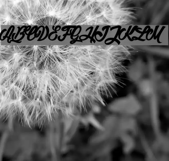 Litchis on Velvet_PersonalUseOnly Font examples