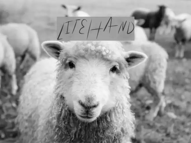 LiteHand Font examples