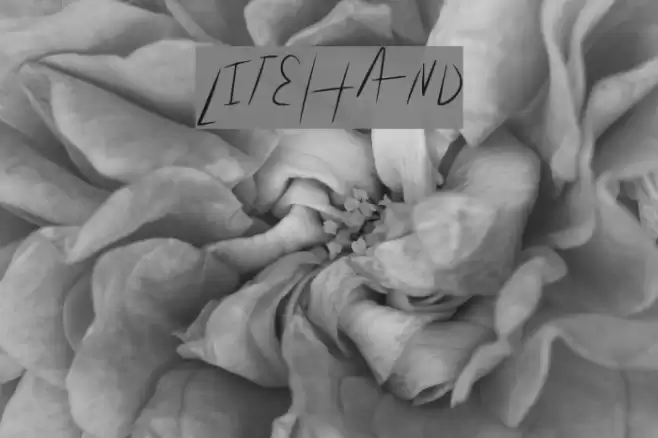 LiteHand Font examples