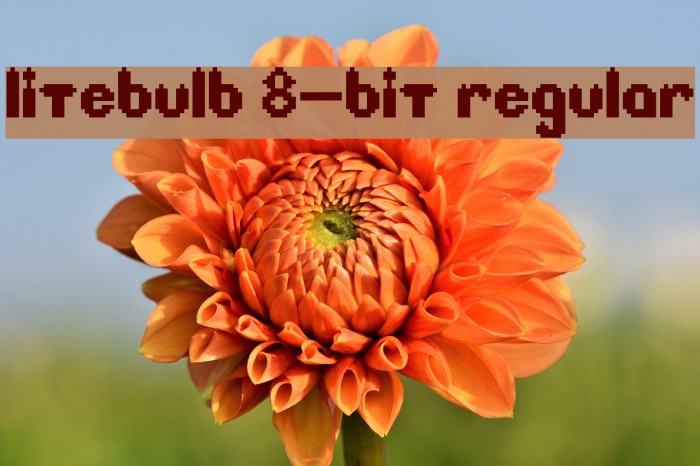 Litebulb 8-bit Regular Font examples
