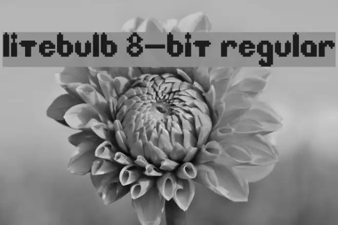Litebulb 8-bit Regular Example 2
