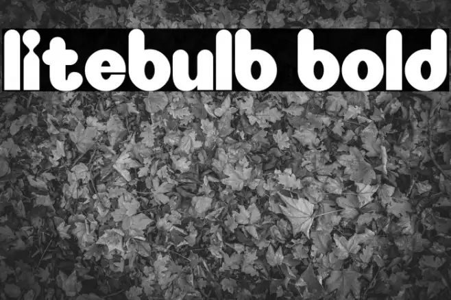 Litebulb Bold Example 3