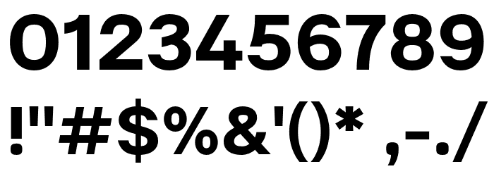 Literal-Bold Font OTHER CHARS