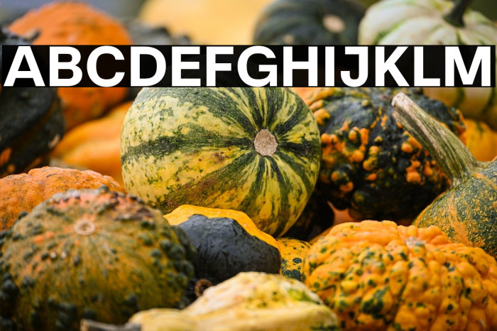 Literal-Bold Example 2