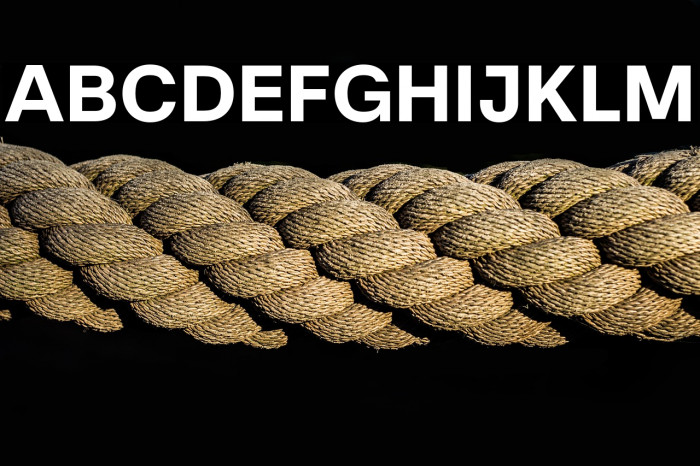 Literal-Bold Example 3