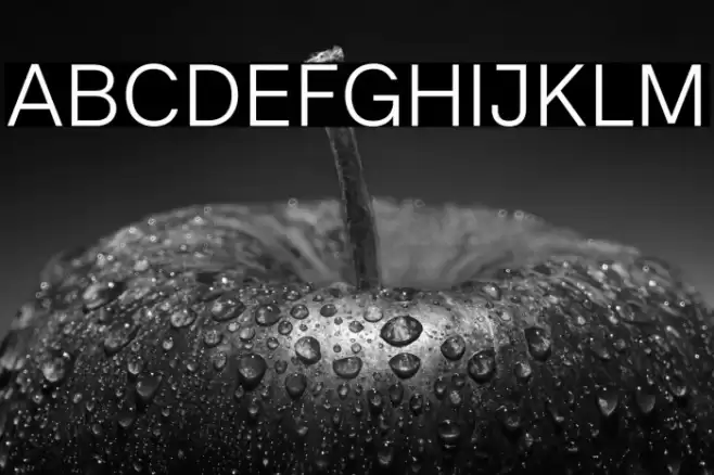 Literal-Light Font examples