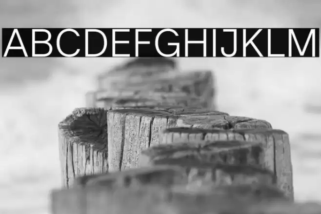 Literal-Light Font examples