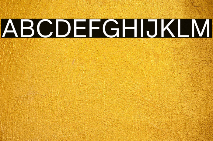 Literal-Regular Example 1