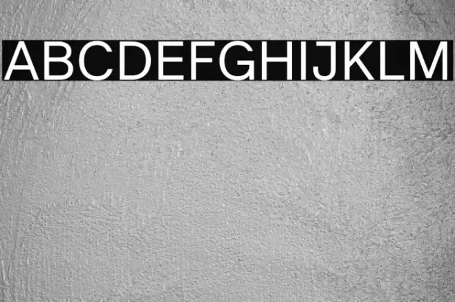 Literal-Regular Font examples